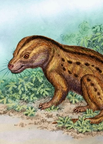 Chiniquodon