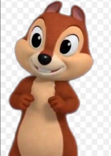 Chip