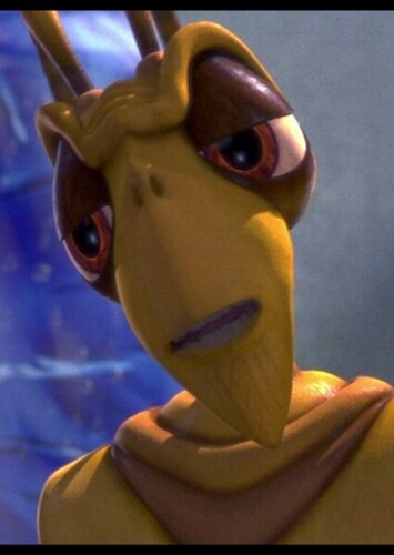 Chip