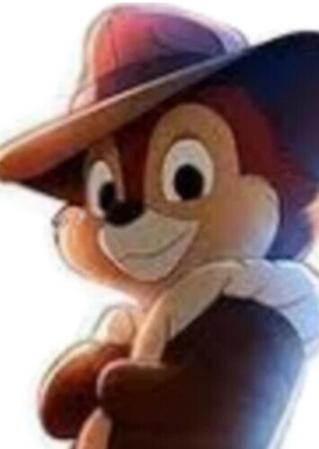 Chip