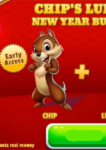 Chip