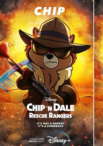 Chip