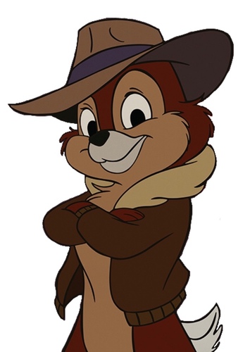 Chip