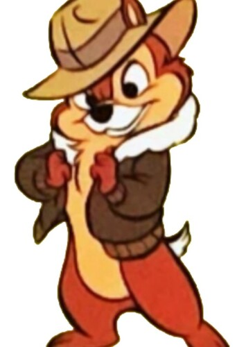 Chip