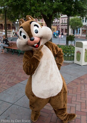 Chip