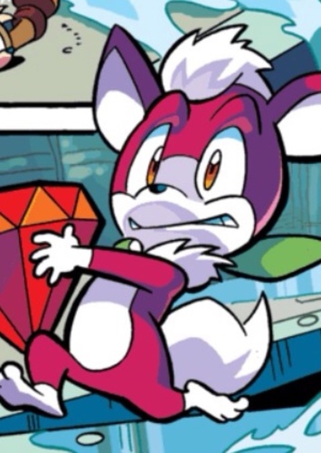 Chip