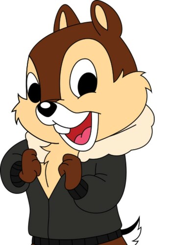 Chip jr
