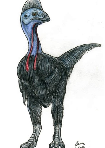 Chirostenotes