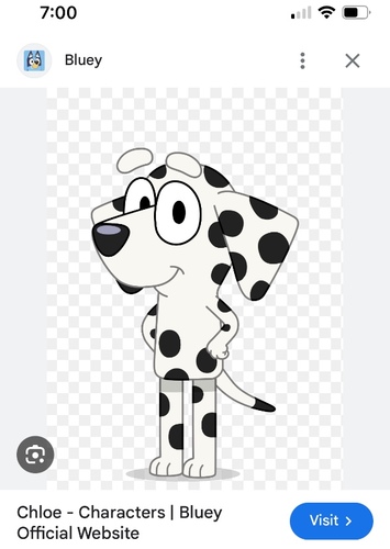 Chloe dalmatian