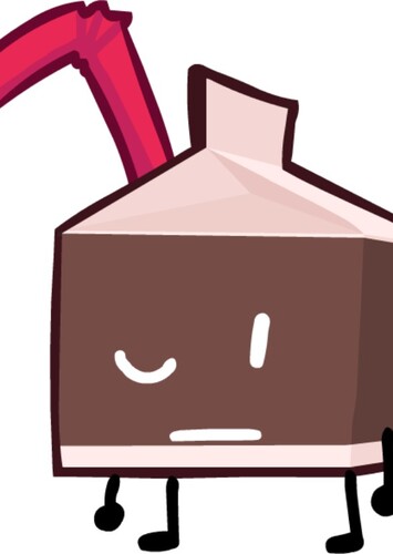 Chocolate Milk Carton