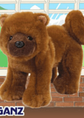 Chow Chow
