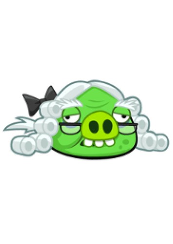 Chronicler Pig