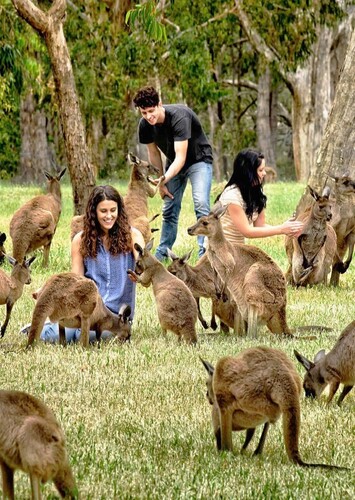 Cleland Wildlife Park