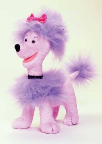 Cleo the Poodle