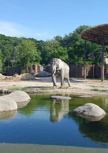 Cleveland Metroparks Zoo