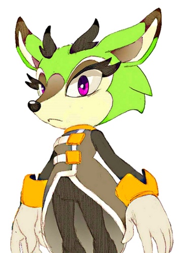 Clove the Pronghorn