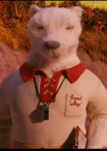 Coach skip