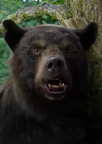 Cocaine Bear