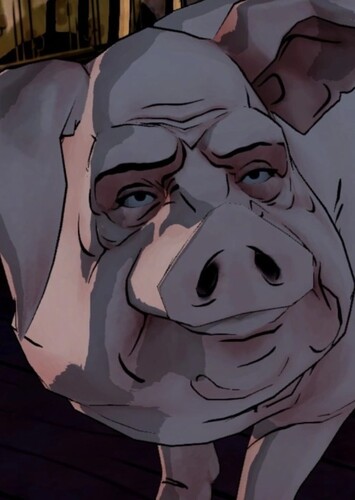 Colin the Pig
