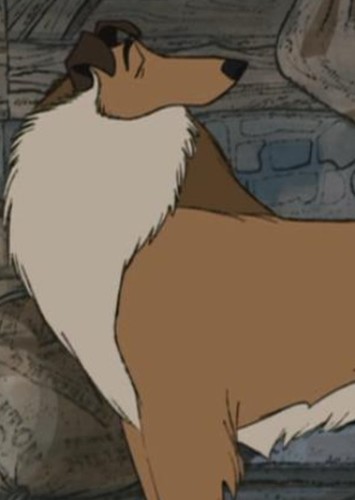 Collie