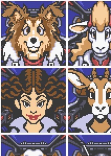Collie
