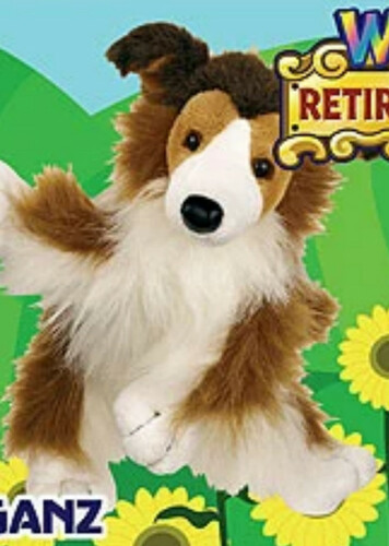 Collie