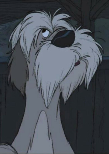 Colonel