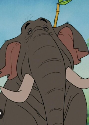Colonel Hathi The Elephant