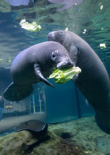 Columbus Zoo and Aquarium