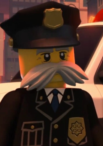 Police commissioner