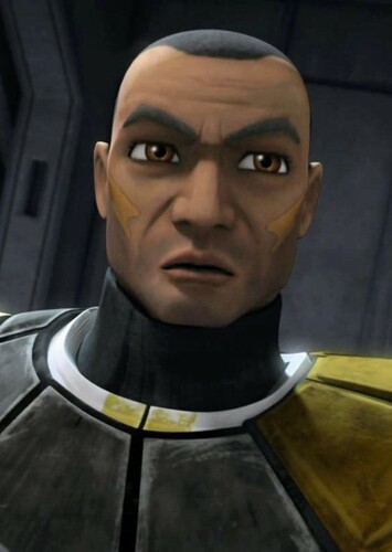 Commander Bly