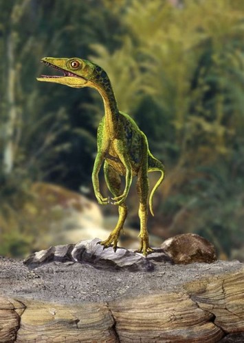 Compsognathus