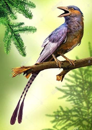 Confuciusornis