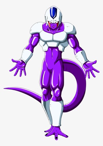 Cooler