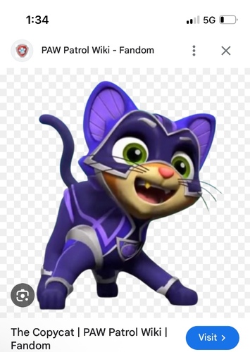 Copy cat