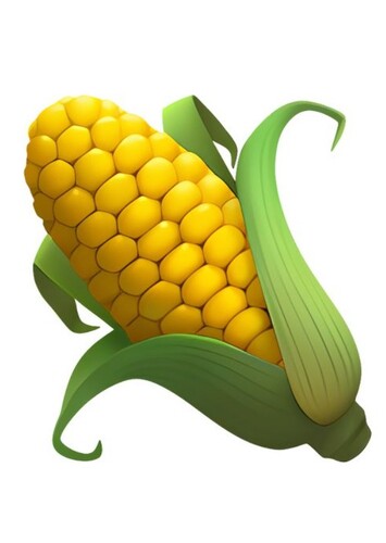 Corn