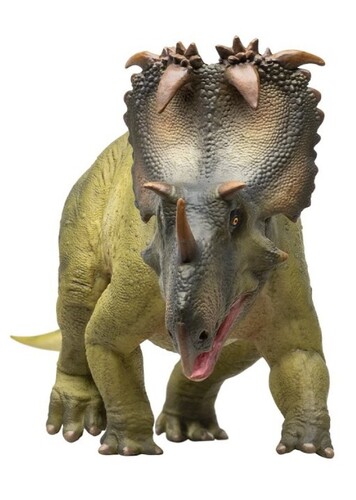 Coronosaurus