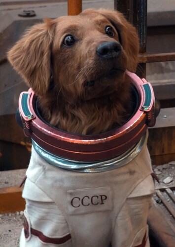 Cosmo