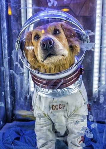 Cosmo