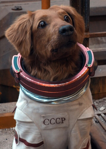 Cosmo the Space-Dog