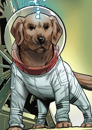 Cosmo The Spacedog