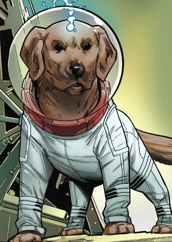 Cosmo the Spacedog