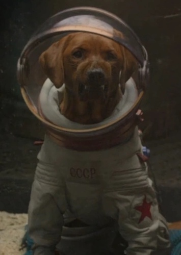 Cosmo the Spacedog