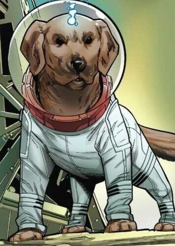 Cosmo, the Spacedog