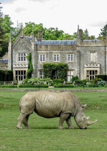 Cotswold Wildlife Park and Gardens