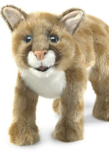 Cougar