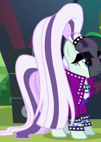 Countess Coloratura