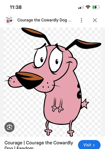 Courage the dog of 256Pi