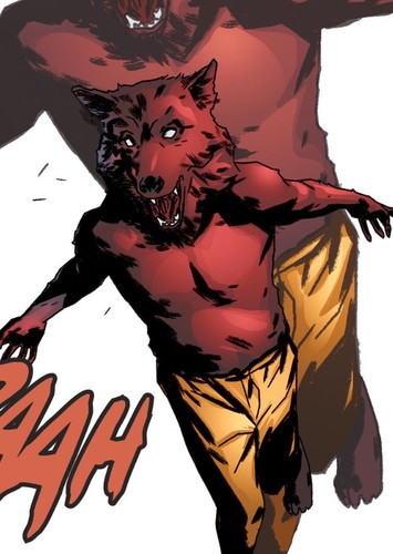 Coyote