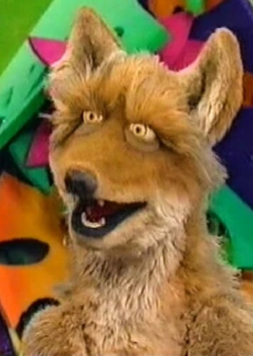 Coyote